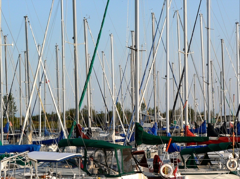 lsyc05edited.jpg