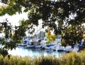 LSYCmarinaedited